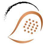 SANDTREFF - Padelbase Deutschkreutz - Starter