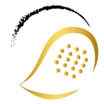 Eisenstadt Open Expert