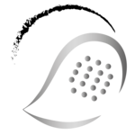 Zurndorf seniors +40